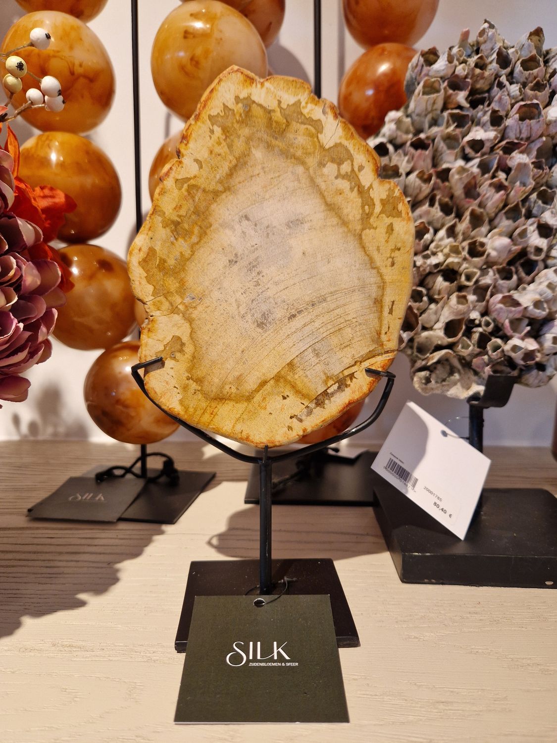 Versteend hout op voet