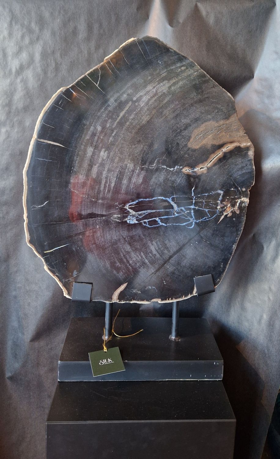 Versteend hout op voet