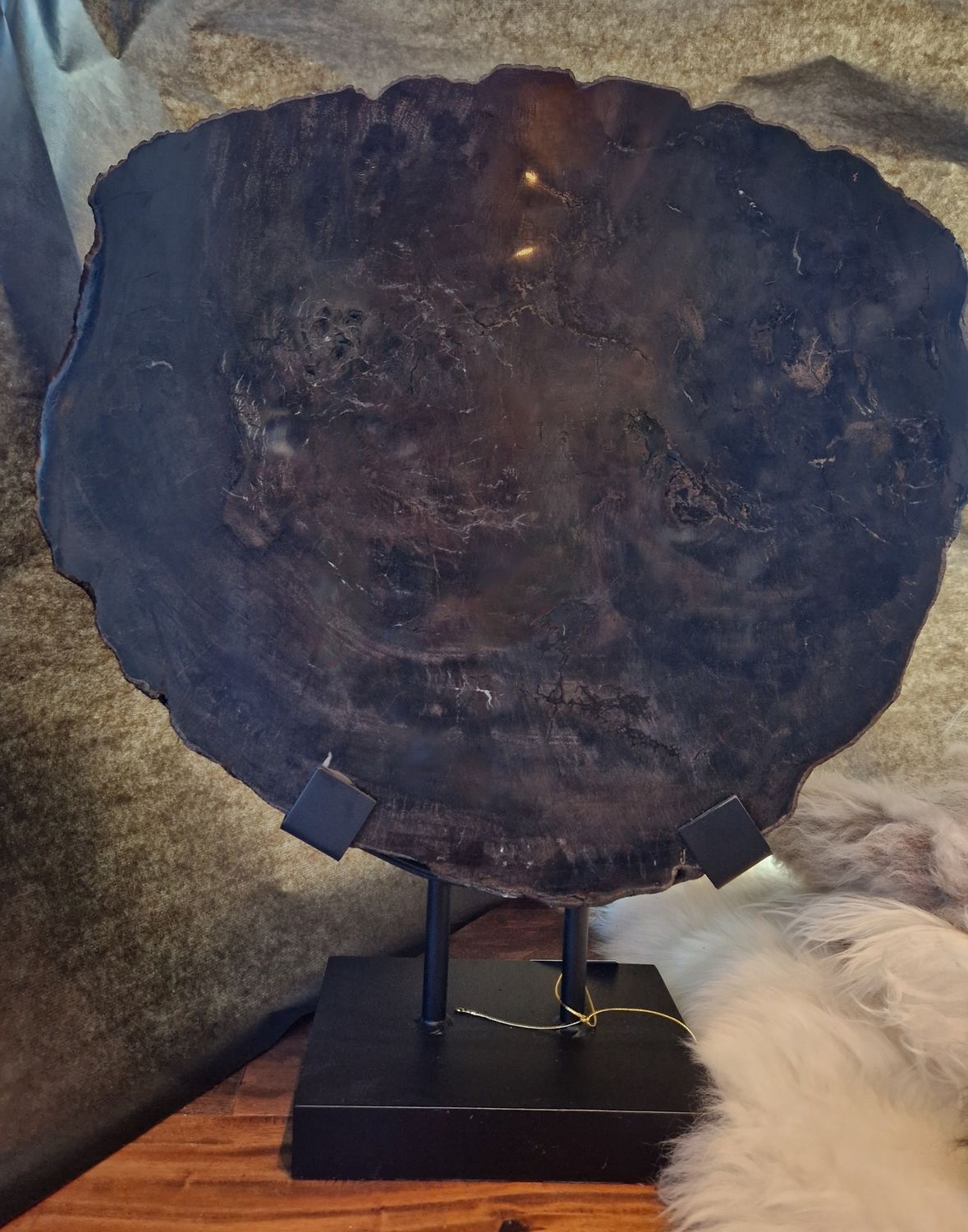 Versteend hout op voet