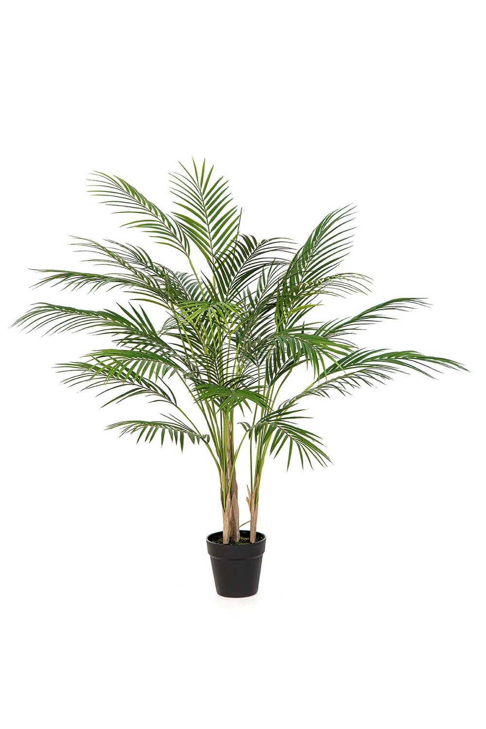 Arecapalm 100 cm UV
