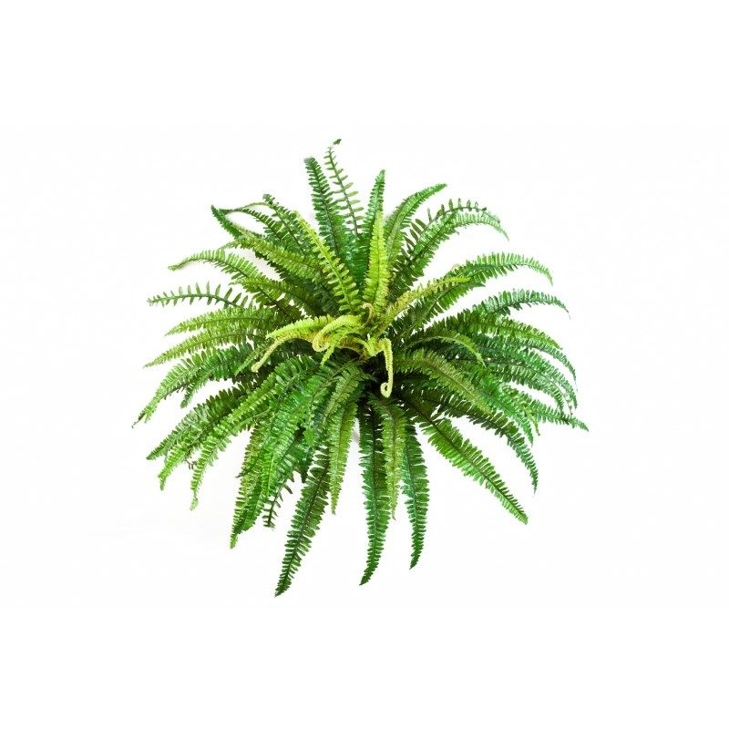 Forest fern 85cm