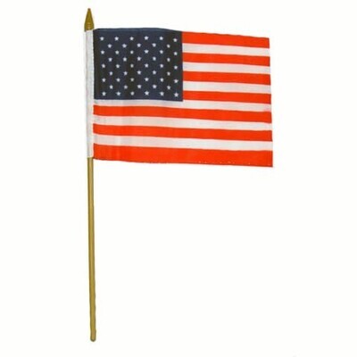 Vlag op stok USA