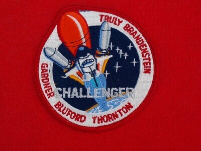 NASA Challenger STS - 8 (5)