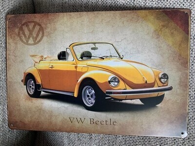 Auto - Volkswagen Beetle (313)