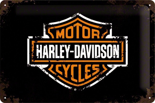 Motor - Harley Davidson Paint logo (320)