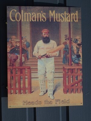 Colman's Mustard (497)