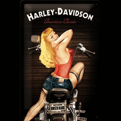 Motor - Harley Davidson Biker Babe (504)