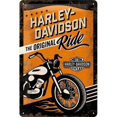 Motor - Harley Davidson The Original ride (132)