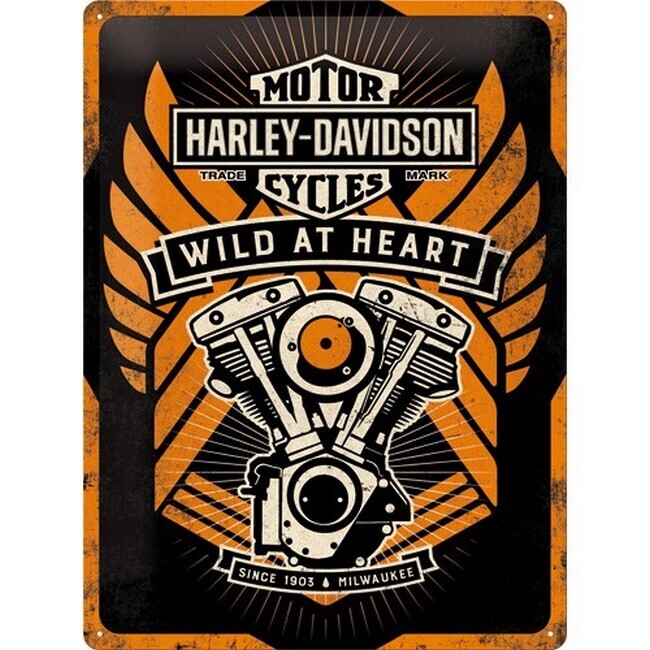 Motor - Harley Davidson wild at heart (672)