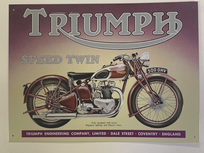 Motor - Triumph Speed Twin (738)