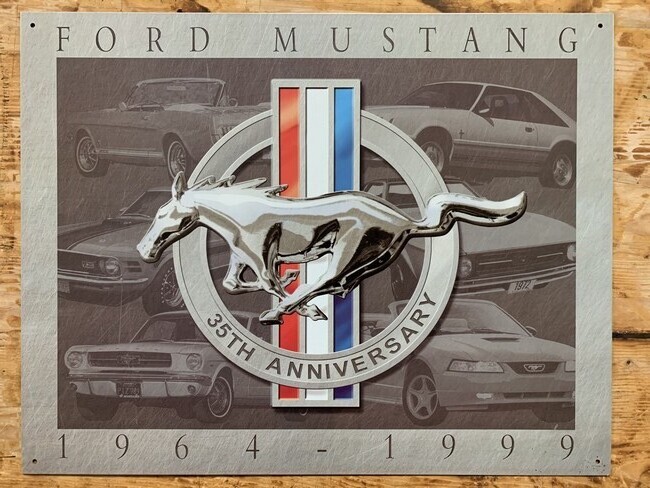 Auto - Ford Mustang 1964-1999 (781)