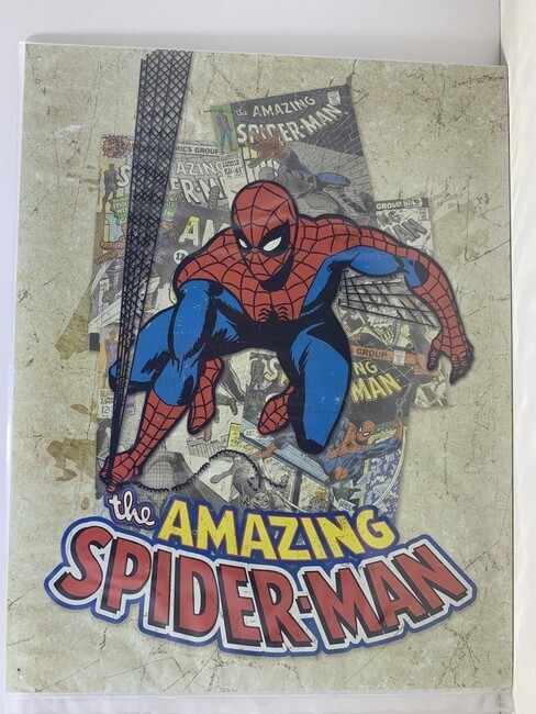Strip - The Amazing Spider-man (751)