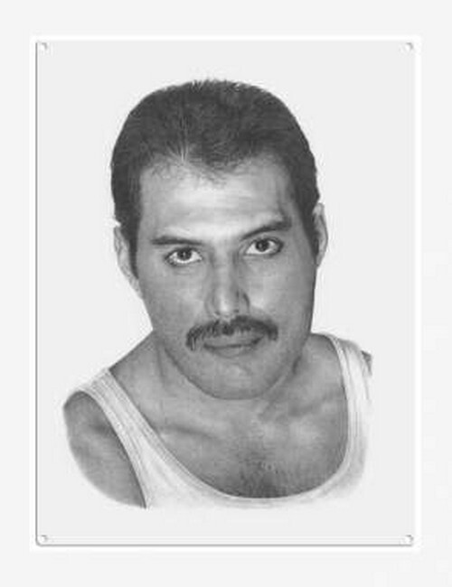 Freddy Mercury portret (795)