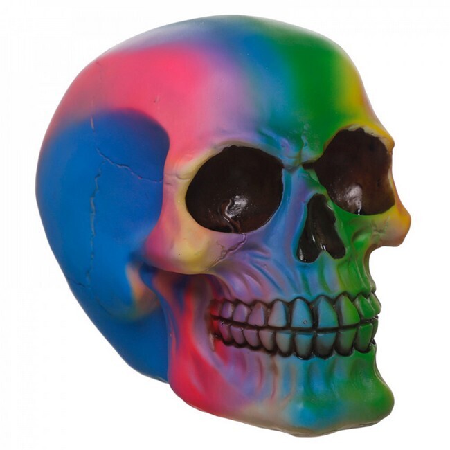 Shedel Regenboog