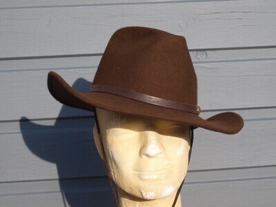 Cowboy Hoed Longhorn bruin