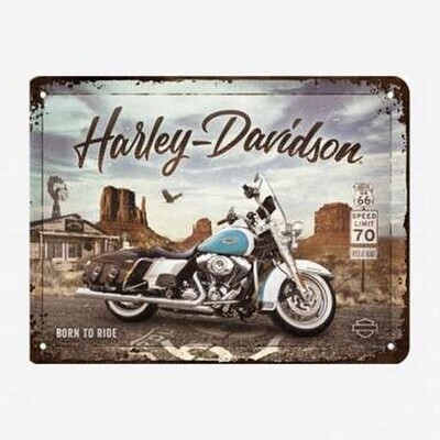Motor - Harley Davidson born to ride (1897)