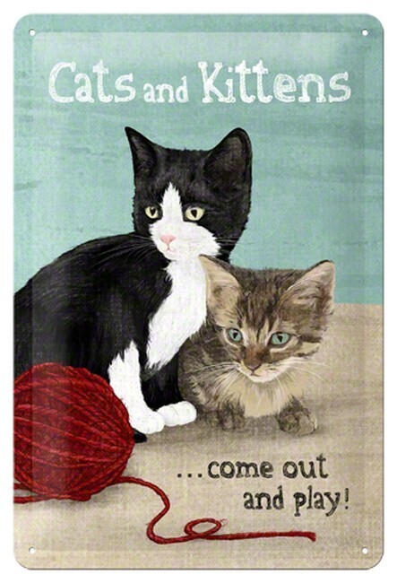 Cats en Kittens (567)
