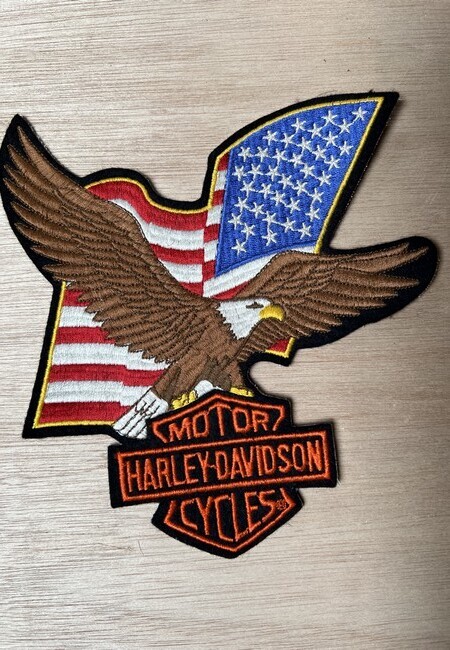Biker - Harley Davidson