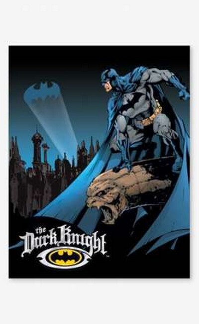 Batman - The Dark Knight (602)