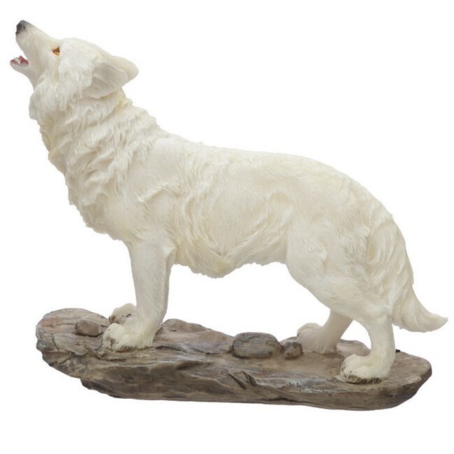 Witte Wolf huilend