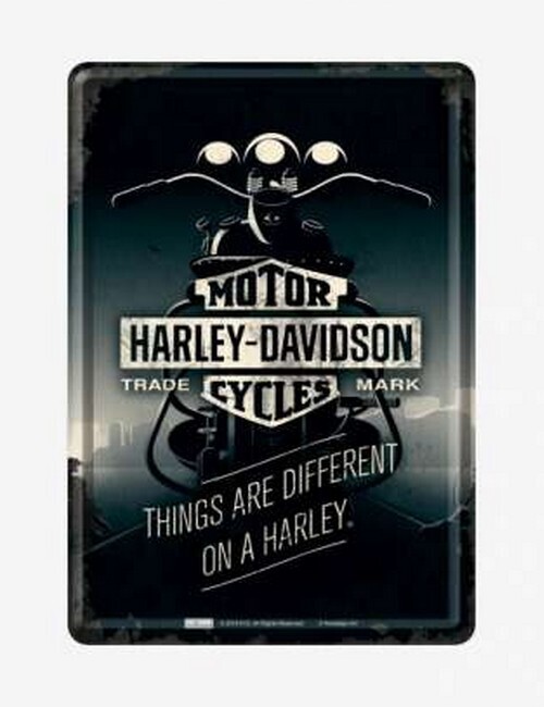 Harley Davidson  Things are different on a Harley (2176)