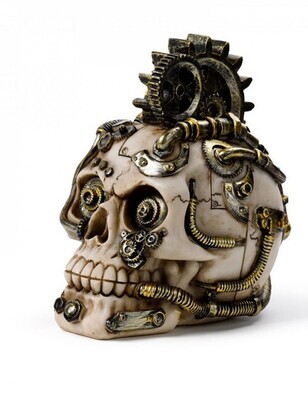 Steampunk schedel