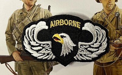 US - 101th Airborne Division met wings (2274)