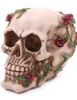 Schedel met rozenplant