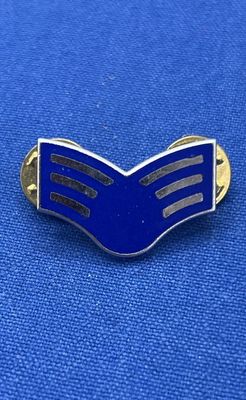 US - Senior Airman  (271)