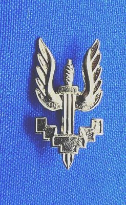 Metalen embleem/badge