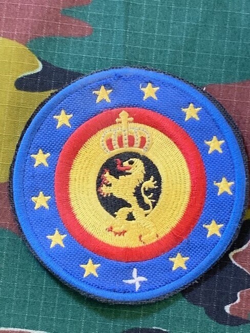 België - S - Belgische Defensie Badge. (40)