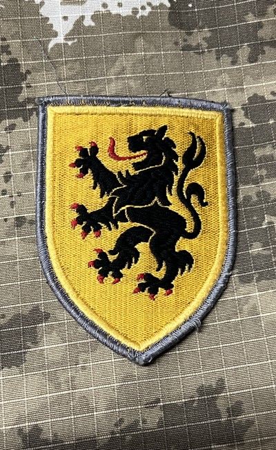 Duitsland - S - 10e Panzerdivision (401)