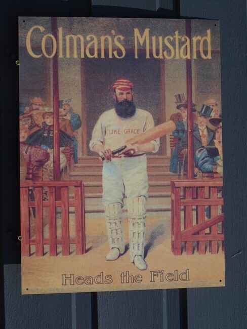 Colman's Mustard (497)