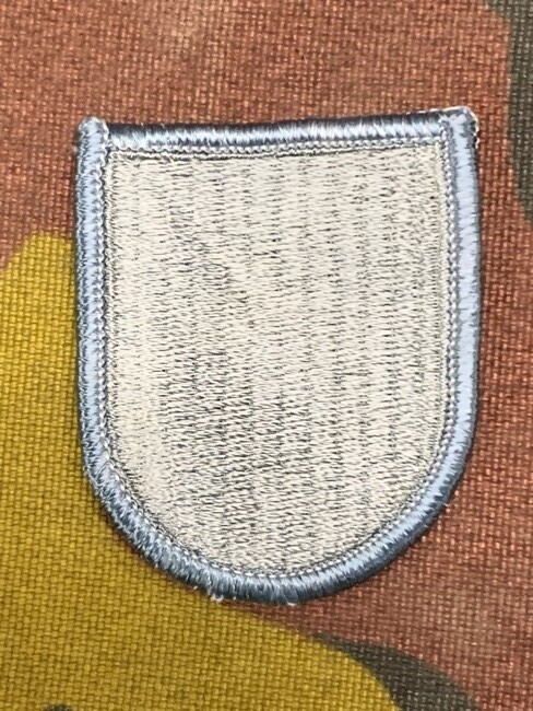 US - S - 19th Special Forces Group Airborne beret flash C/E (475)