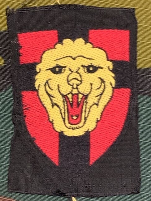 België - S - 1ste Infanterie divisie (487)