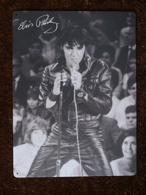 Elvis Presley (662)