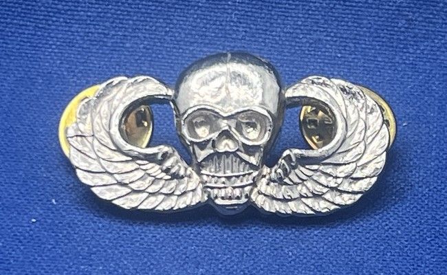 US - Airborne Skull Jump Wings (321)