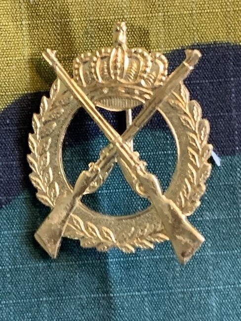 België - M - 1 Opleidingscentrum Infanterie (goudkleurig) (178)