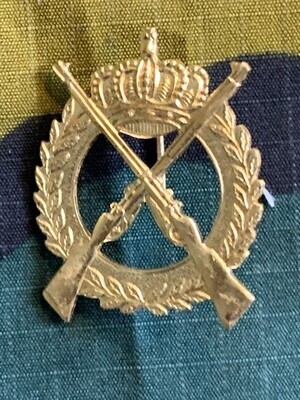 België - M - 1 Opleidingscentrum Infanterie (goudkleurig) (178)