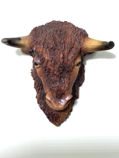 Bizon Kop