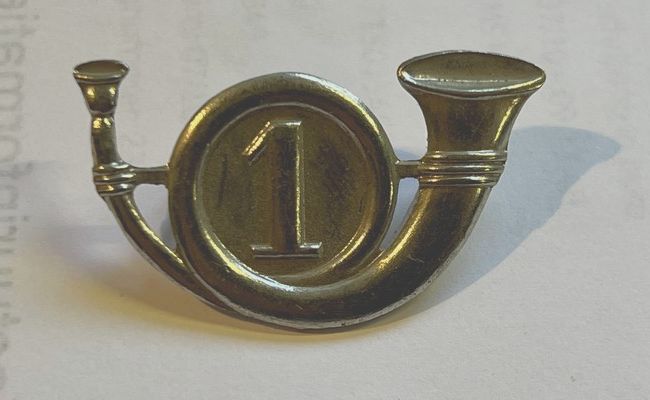 België - M - 1e Regiment Jagers te voet (reserve) (zilverkleurig)(141)