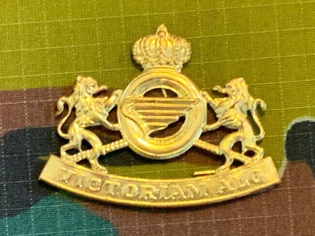 België - M - Air Force "Victoriam Alo" (60)