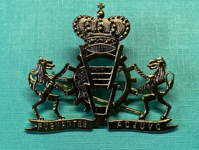 België - M - Commando logistiek goudkleurig (182)