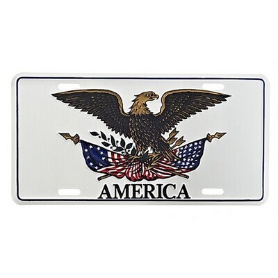 Amerika (1891)