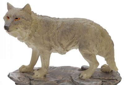 Grijze Wolf