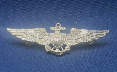 USAF - Observer Pilot Wing  (318)