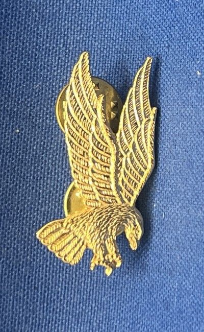 US - Navy kraagspiegel USN (354)