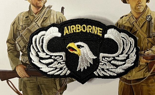 US - S - 101th Airborne Division met wings (2274)
