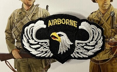 US - S - 101th Airborne Division met wings (2274)