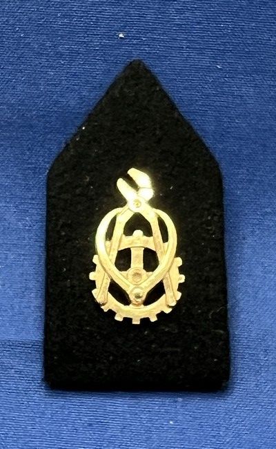 Nederland - M - Regiment Technische Troepen. (kraagspiegel) (279)